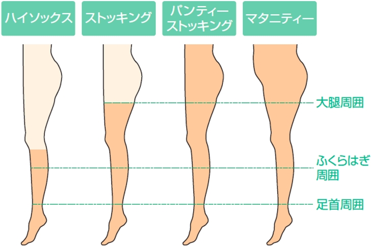 アンシルク 形状と計測部位の図