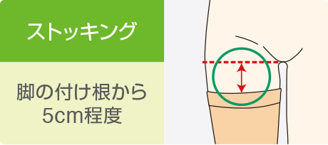 ストッキング 脚の付け根から5cm程度