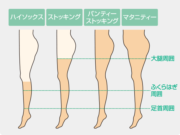 形状と計測部位イメージ