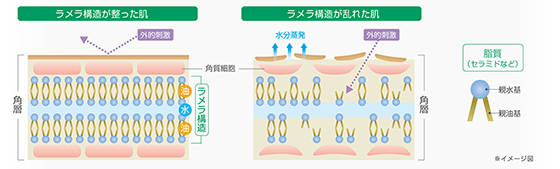 ラメラ構造1