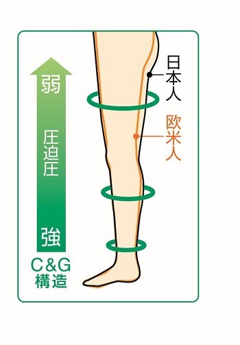 C&G構造説明図