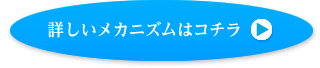 詳しいメカニズムはこちら