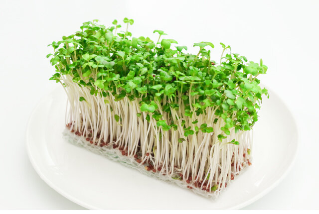 おすすめ食材のブロッコリースプラウト